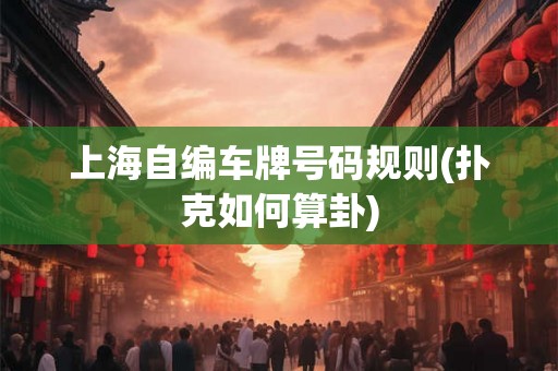 上海自编车牌号码规则(扑克如何算卦)
