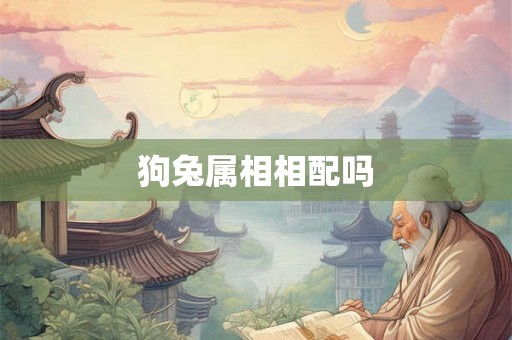 狗兔属相相配吗