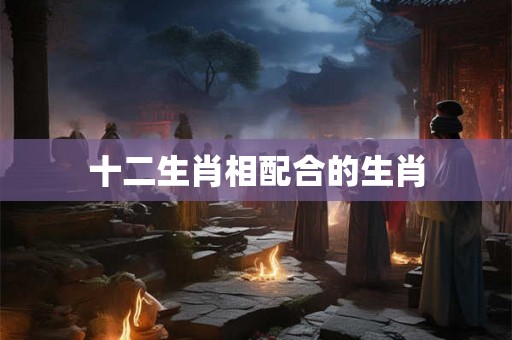 十二生肖相配合的生肖