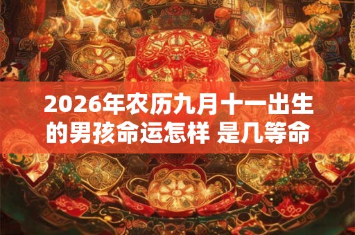 2026年农历九月十一出生的男孩命运怎样 是几等命