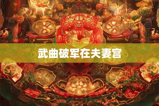 武曲破军在夫妻宫