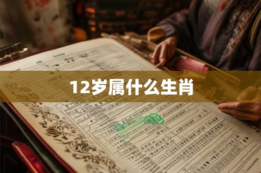 12岁属什么生肖