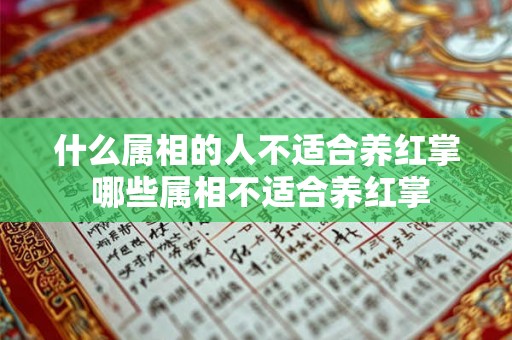 什么属相的人不适合养红掌 哪些属相不适合养红掌