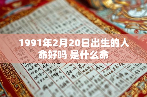 1991年2月20日出生的人命好吗 是什么命
