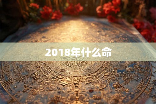 2018年什么命