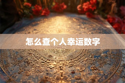怎么查个人幸运数字