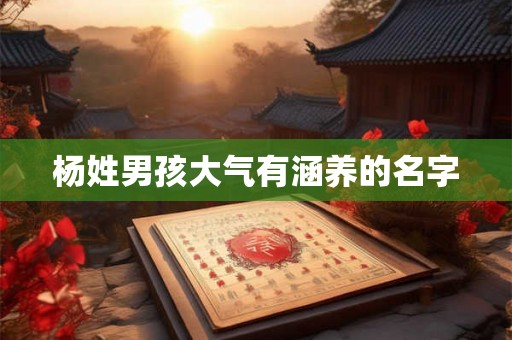 杨姓男孩大气有涵养的名字 杨姓男孩大气有涵养的名字