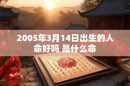 2005年3月14日出生的人命好吗 是什么命