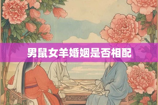 男鼠女羊婚姻是否相配
