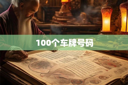 100个车牌号码 100个车牌号码