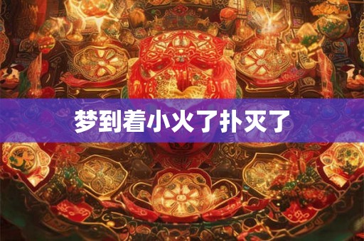 梦到着小火了扑灭了