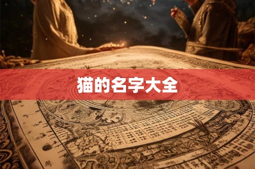 猫的名字大全