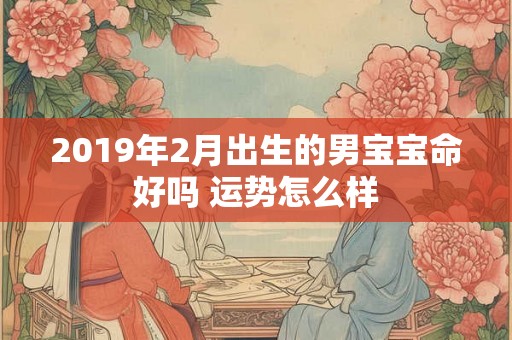 2019年2月出生的男宝宝命好吗 运势怎么样