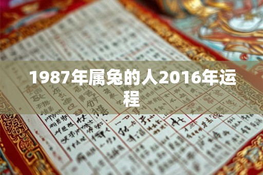 1987年属兔的人2016年运程 1987年属兔的人2016年运程