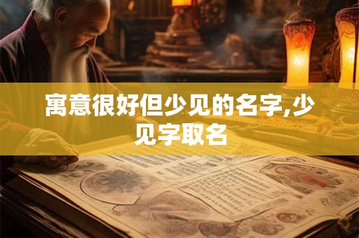 寓意很好但少见的名字,少见字取名 寓意很好但少见的名字,少见字取名