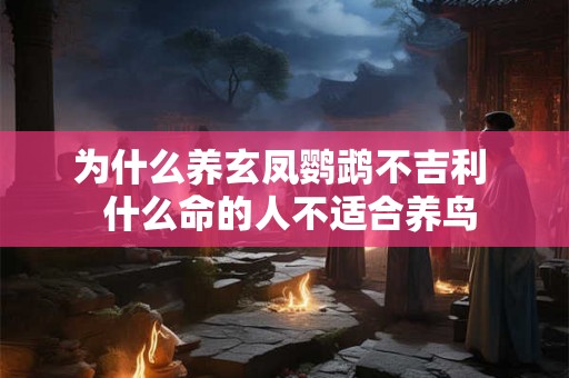 为什么养玄凤鹦鹉不吉利  什么命的人不适合养鸟