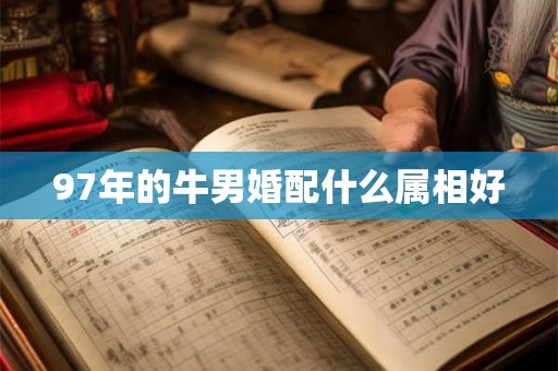 97年的牛男婚配什么属相好