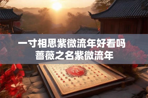 一寸相思紫微流年好看吗  蔷薇之名紫微流年