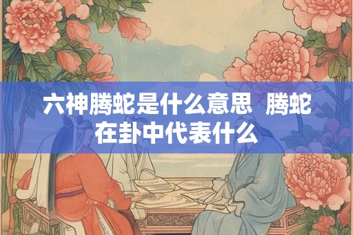 六神腾蛇是什么意思  腾蛇在卦中代表什么