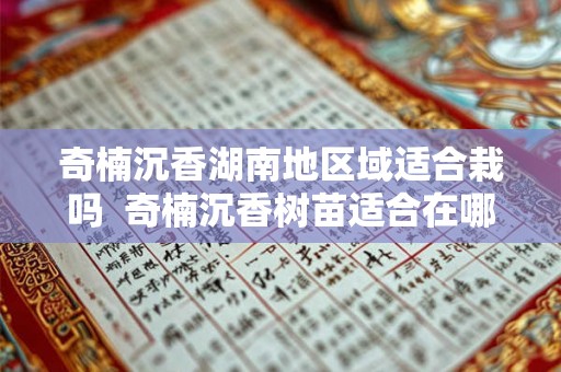 奇楠沉香湖南地区域适合栽吗  奇楠沉香树苗适合在哪里种植