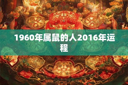1960年属鼠的人2016年运程
