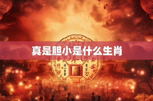 真是胆小是什么生肖