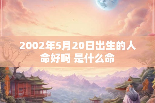 2002年5月20日出生的人命好吗 是什么命