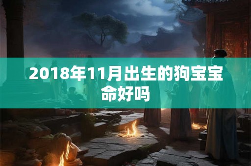 2018年11月出生的狗宝宝命好吗