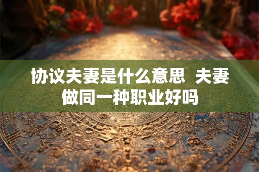 协议夫妻是什么意思  夫妻做同一种职业好吗