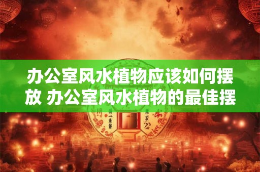 办公室风水植物应该如何摆放 办公室风水植物的最佳摆放方式 办公室风水植物应该如何摆放 办公室风水植物的最佳摆放方式