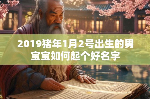2019猪年1月2号出生的男宝宝如何起个好名字