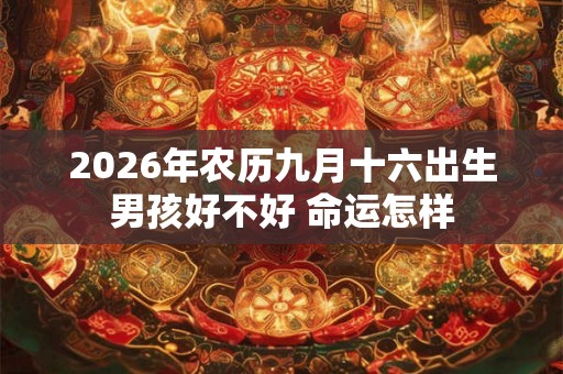 2026年农历九月十六出生男孩好不好 命运怎样