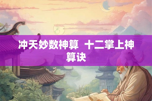 冲天妙数神算  十二掌上神算诀