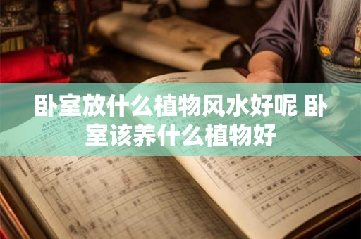 卧室放什么植物风水好呢 卧室该养什么植物好