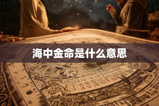 海中金命是什么意思