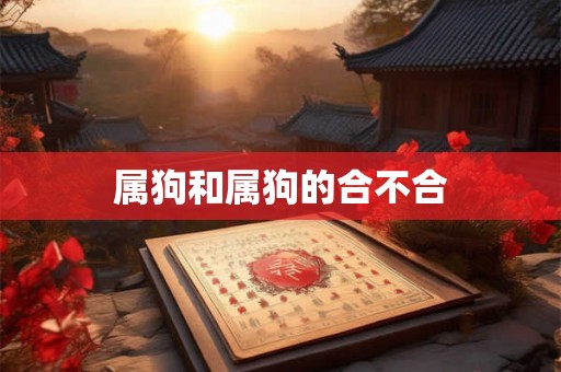 属狗和属狗的合不合