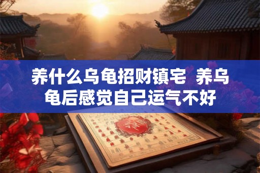 养什么乌龟招财镇宅  养乌龟后感觉自己运气不好