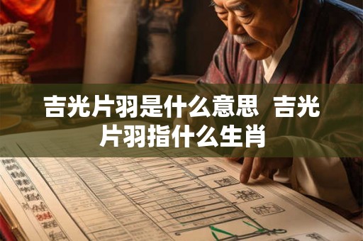吉光片羽是什么意思  吉光片羽指什么生肖