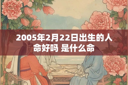 2005年2月22日出生的人命好吗 是什么命