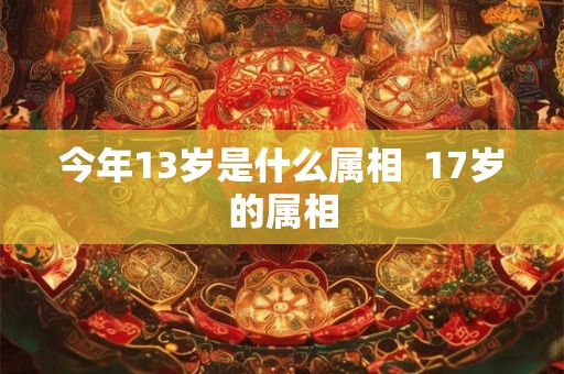 今年13岁是什么属相  17岁的属相