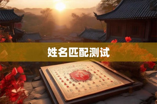 姓名匹配测试