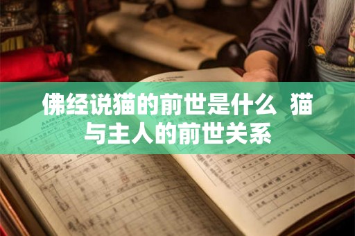 佛经说猫的前世是什么  猫与主人的前世关系