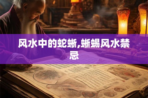 风水中的蛇蜥,蜥蜴风水禁忌 风水中的蛇蜥,蜥蜴风水禁忌