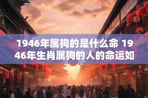 1946年属狗的是什么命 1946年生肖属狗的人的命运如何
