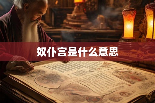 奴仆宫是什么意思 奴仆宫是什么意思