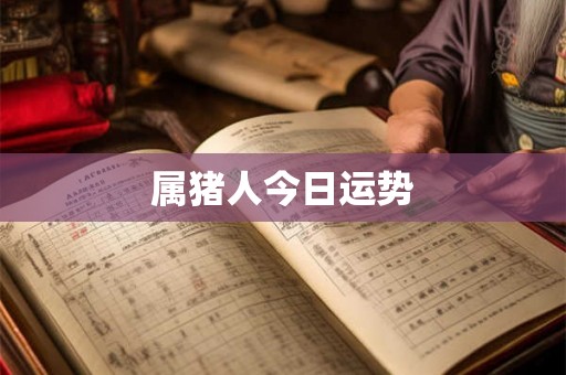 属猪人今日运势