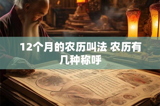 12个月的农历叫法 农历有几种称呼