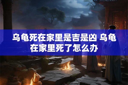 乌龟死在家里是吉是凶 乌龟在家里死了怎么办 乌龟死在家里是吉是凶 乌龟在家里死了怎么办