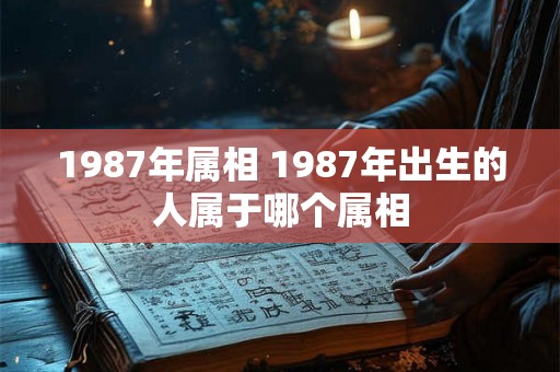 1987年属相 1987年出生的人属于哪个属相