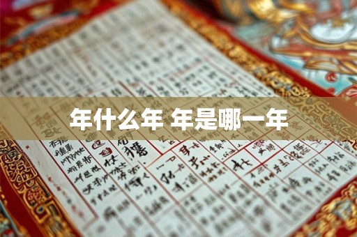 年什么年 年是哪一年